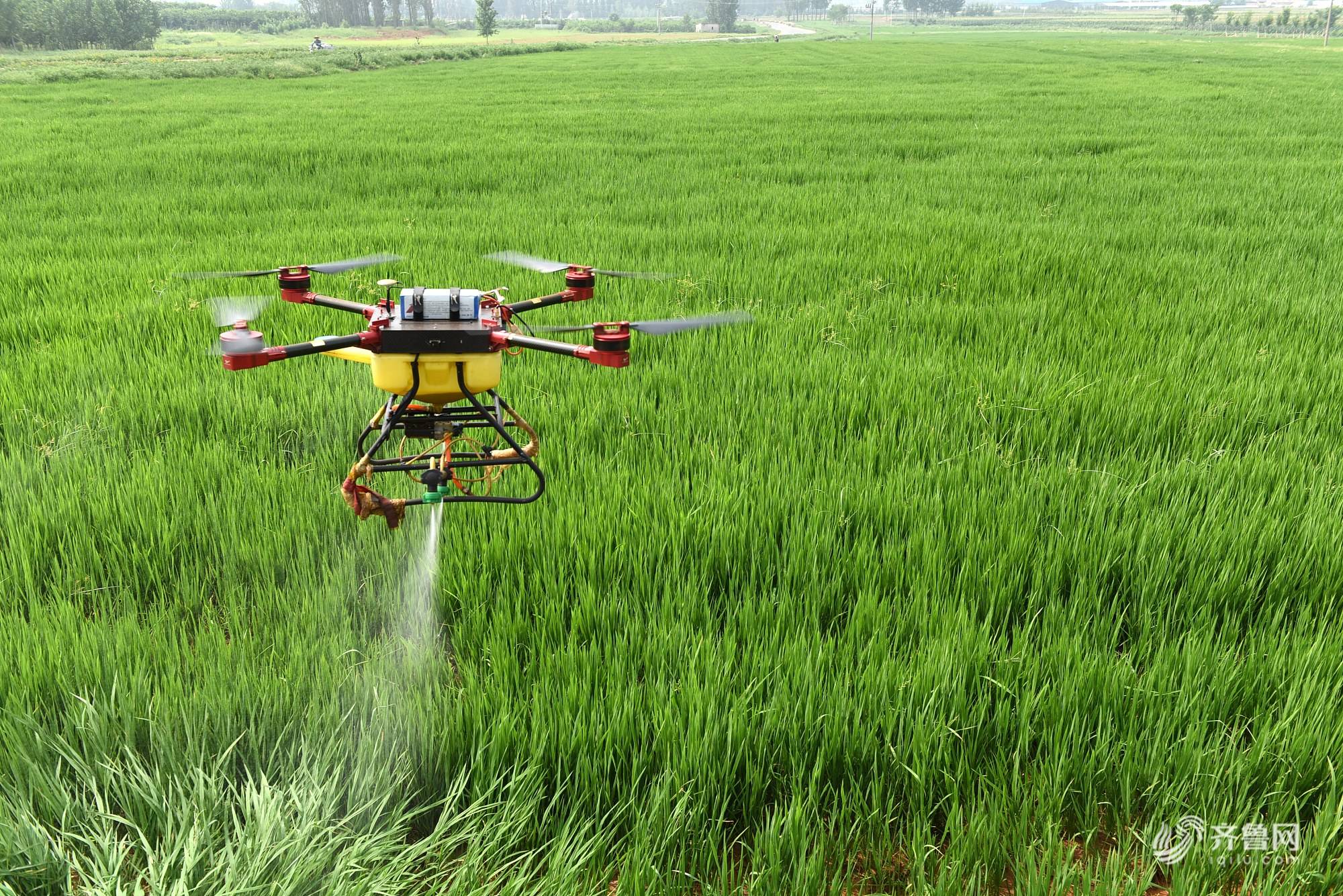 無(wú)人機(jī)打農(nóng)藥，這是把雙刃劍！